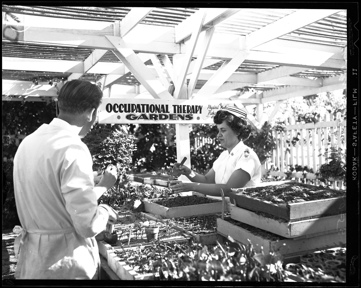 June Arber, Director of Occupational Therapy, supervises patients in the Occupational Therapy Gardens as they both plant seedlings.