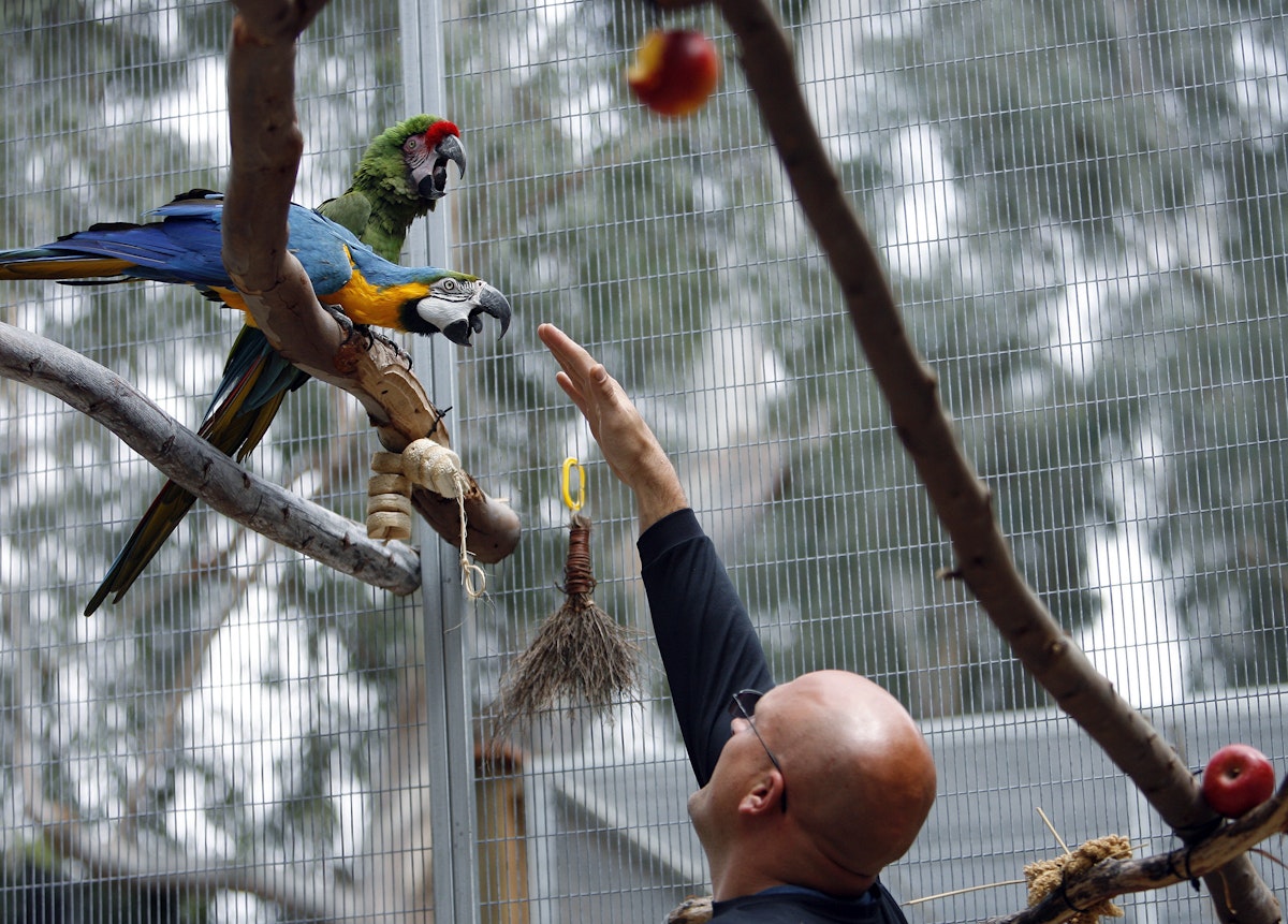 Matthew Simmons is photographed in one of the parrot enclosures at the Serenity Park Sanctuary at the Veterans Affairs campus.